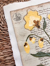 Load image into Gallery viewer, Unframed Fleurs Sauvages 39, Original Artwork by Kendal Blanchard, Southern artist, Southern art, Flower art, Botanical art, Textured art, Collaged art, Classic artwork, Timeless art, Blue and white artwork, Foliage artwork, Traditional artwork, Original artwork, Traditional home artwork, Painted flowers, Botanicals Florals, Floral artwork, Coastal artwork
