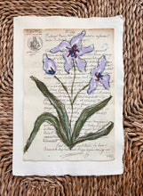 Load image into Gallery viewer, Unframed Fleurs Sauvages 37, Original Artwork by Kendal Blanchard, Southern artist, Southern art, Flower art, Botanical art, Textured art, Collaged art, Classic artwork, Timeless art, Blue and white artwork, Foliage artwork, Traditional artwork, Original artwork, Traditional home artwork, Painted flowers, Botanicals Florals, Floral artwork, Coastal artwork
