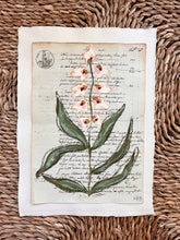 Load image into Gallery viewer, Unframed Fleurs Sauvages 34, Original Artwork by Kendal Blanchard, Southern artist, Southern art, Flower art, Botanical art, Textured art, Collaged art, Classic artwork, Timeless art, Blue and white artwork, Foliage artwork, Traditional artwork, Original artwork, Traditional home artwork, Painted flowers, Botanicals Florals, Floral artwork, Coastal artwork
