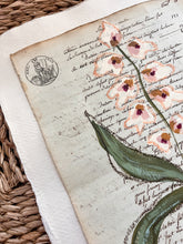 Load image into Gallery viewer, Unframed Fleurs Sauvages 34, Original Artwork by Kendal Blanchard, Southern artist, Southern art, Flower art, Botanical art, Textured art, Collaged art, Classic artwork, Timeless art, Blue and white artwork, Foliage artwork, Traditional artwork, Original artwork, Traditional home artwork, Painted flowers, Botanicals Florals, Floral artwork, Coastal artwork
