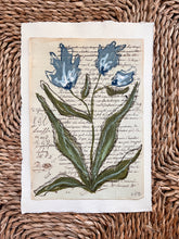 Load image into Gallery viewer, Unframed Fleurs Sauvages 35, Original Artwork by Kendal Blanchard, Southern artist, Southern art, Flower art, Botanical art, Textured art, Collaged art, Classic artwork, Timeless art, Blue and white artwork, Foliage artwork, Traditional artwork, Original artwork, Traditional home artwork, Painted flowers, Botanicals Florals, Floral artwork, Coastal artwork
