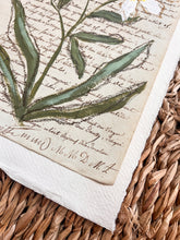 Load image into Gallery viewer, Unframed Fleurs Sauvages 38, Original Artwork by Kendal Blanchard, Southern artist, Southern art, Flower art, Botanical art, Textured art, Collaged art, Classic artwork, Timeless art, Blue and white artwork, Foliage artwork, Traditional artwork, Original artwork, Traditional home artwork, Painted flowers, Botanicals Florals, Floral artwork, Coastal artwork
