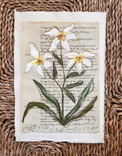 Load image into Gallery viewer, Unframed Fleurs Sauvages 38, Original Artwork by Kendal Blanchard, Southern artist, Southern art, Flower art, Botanical art, Textured art, Collaged art, Classic artwork, Timeless art, Blue and white artwork, Foliage artwork, Traditional artwork, Original artwork, Traditional home artwork, Painted flowers, Botanicals Florals, Floral artwork, Coastal artwork
