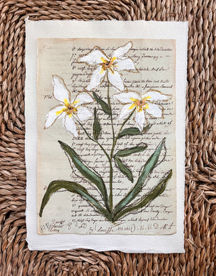 Unframed Fleurs Sauvages 38, Original Artwork by Kendal Blanchard, Southern artist, Southern art, Flower art, Botanical art, Textured art, Collaged art, Classic artwork, Timeless art, Blue and white artwork, Foliage artwork, Traditional artwork, Original artwork, Traditional home artwork, Painted flowers, Botanicals Florals, Floral artwork, Coastal artwork