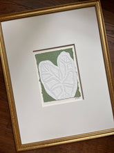 Load image into Gallery viewer, Caladium in Green
