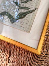 Load image into Gallery viewer, Framed Fleurs Sauvages 26, Original Artwork by Kendal Blanchard, Southern artist, Southern art, Flower art, Botanical art, Textured art, Collaged art, Classic artwork, Timeless art, Blue and white artwork, Foliage artwork, Traditional artwork, Original artwork, Traditional home artwork, Painted flowers, Botanicals Florals, Floral artwork, Coastal artwork

