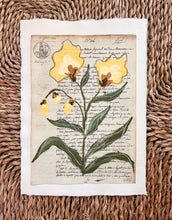 Load image into Gallery viewer, Unframed Fleurs Sauvages 39, Original Artwork by Kendal Blanchard, Southern artist, Southern art, Flower art, Botanical art, Textured art, Collaged art, Classic artwork, Timeless art, Blue and white artwork, Foliage artwork, Traditional artwork, Original artwork, Traditional home artwork, Painted flowers, Botanicals Florals, Floral artwork, Coastal artwork
