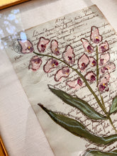 Load image into Gallery viewer, Framed Fleurs Sauvages 32, Original Artwork by Kendal Blanchard, Southern artist, Southern art, Flower art, Botanical art, Textured art, Collaged art, Classic artwork, Timeless art, Blue and white artwork, Foliage artwork, Traditional artwork, Original artwork, Traditional home artwork, Painted flowers, Botanicals Florals, Floral artwork, Coastal artwork
