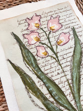 Load image into Gallery viewer, Unframed Fleurs Sauvages 36, Original Artwork by Kendal Blanchard, Southern artist, Southern art, Flower art, Botanical art, Textured art, Collaged art, Classic artwork, Timeless art, Blue and white artwork, Foliage artwork, Traditional artwork, Original artwork, Traditional home artwork, Painted flowers, Botanicals Florals, Floral artwork, Coastal artwork
