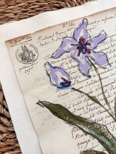 Load image into Gallery viewer, Unframed Fleurs Sauvages 37, Original Artwork by Kendal Blanchard, Southern artist, Southern art, Flower art, Botanical art, Textured art, Collaged art, Classic artwork, Timeless art, Blue and white artwork, Foliage artwork, Traditional artwork, Original artwork, Traditional home artwork, Painted flowers, Botanicals Florals, Floral artwork, Coastal artwork
